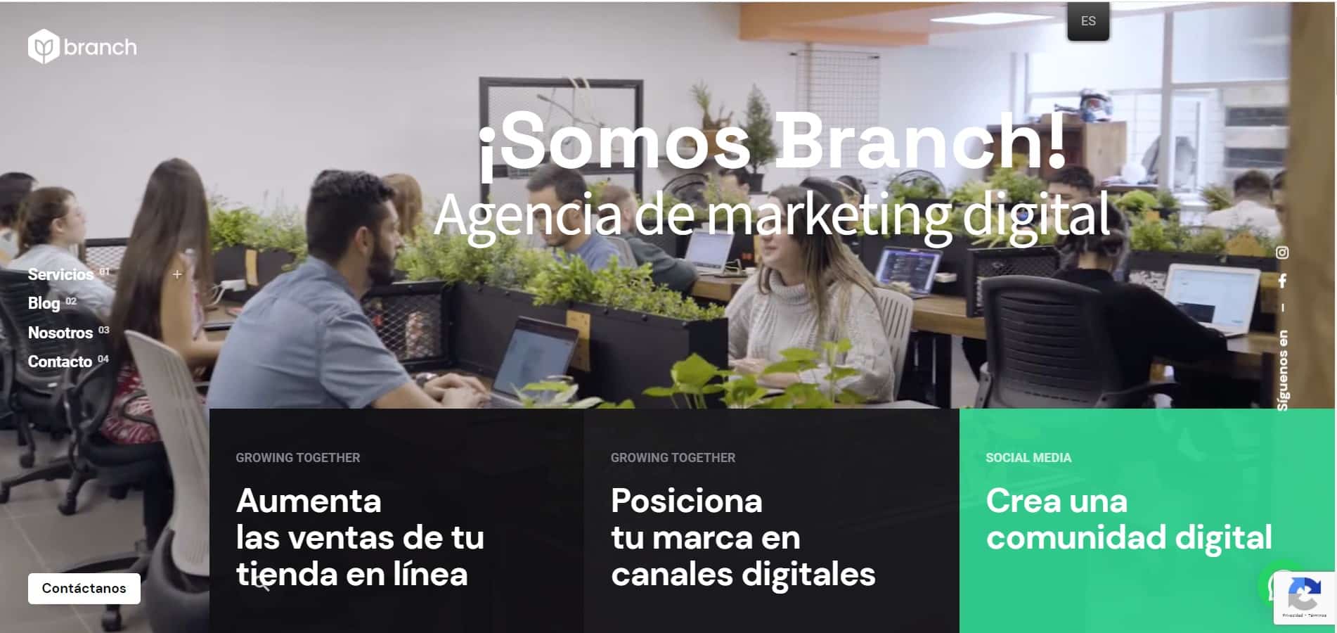 Branch agencia de marketing digital en Colombia