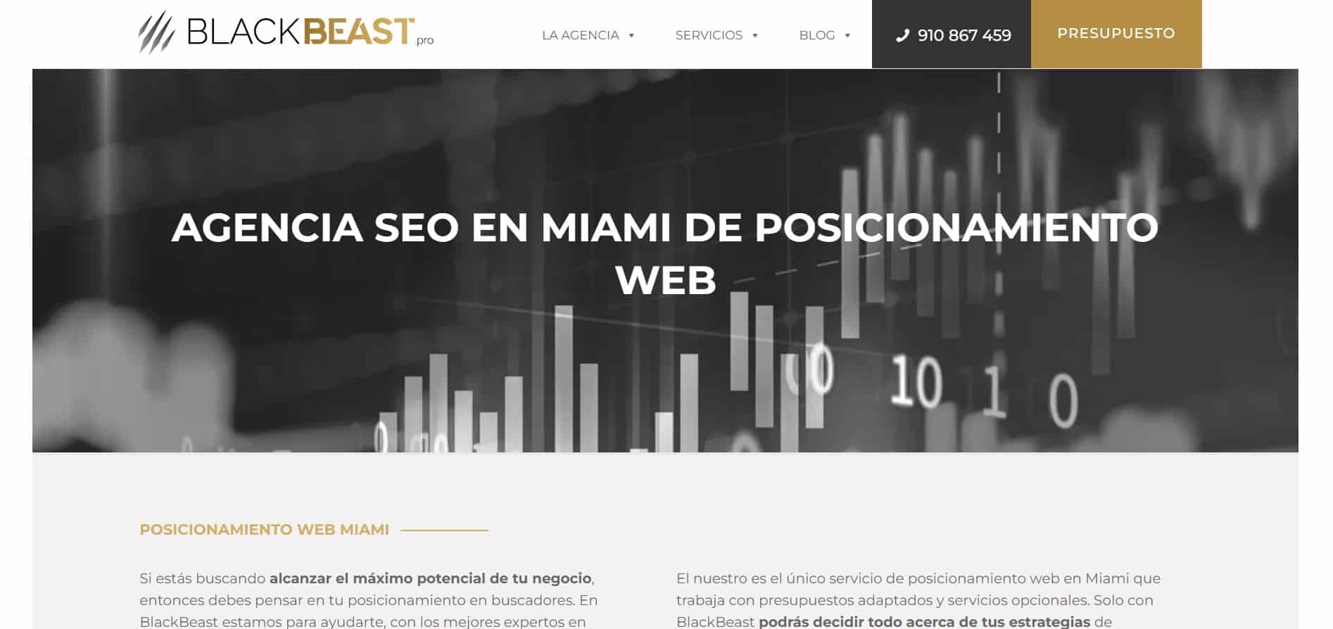 Black Beast agencia seo en miami