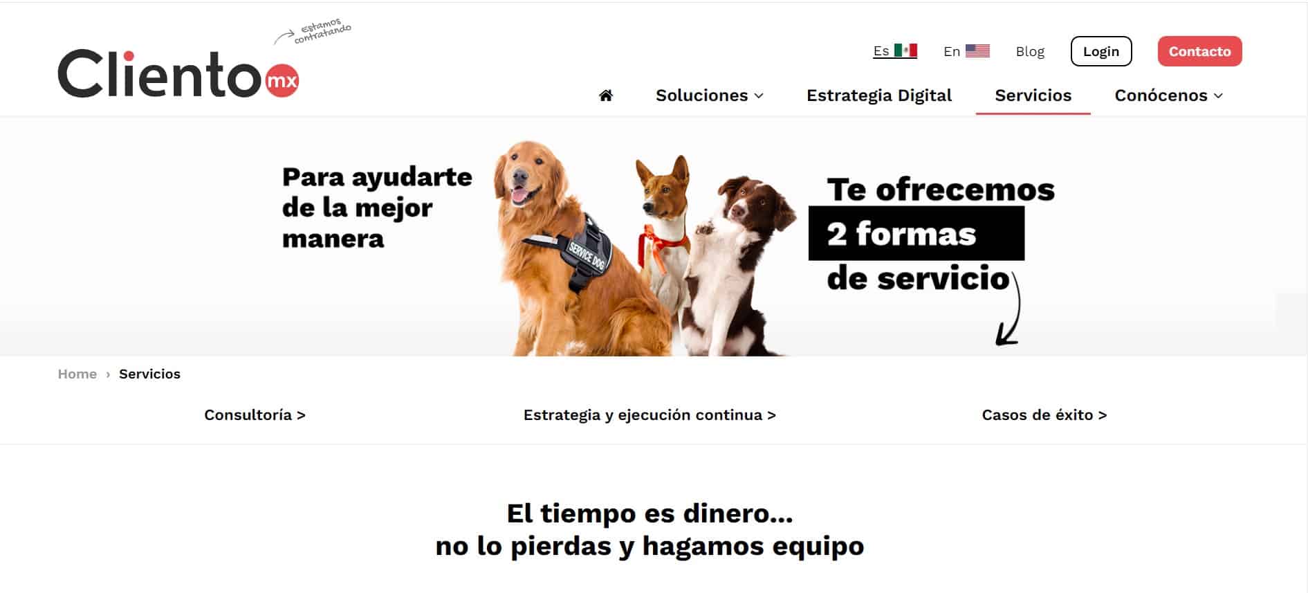 mejores agencias de marketing digital en méxico