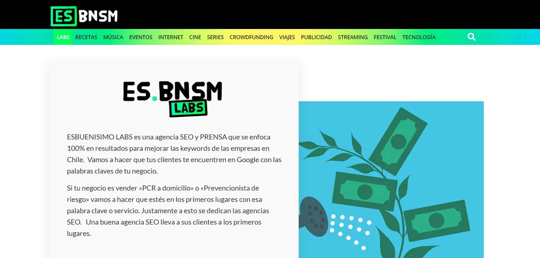 agencia esbuenisimo seo Chile