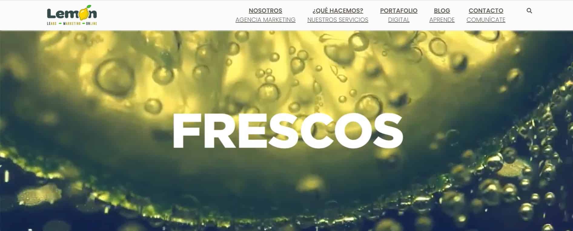 Lemon agencia de marketing digital en Colombia