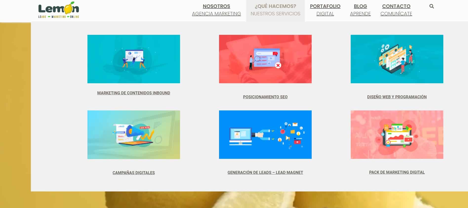 lemon agencia seo en mexico