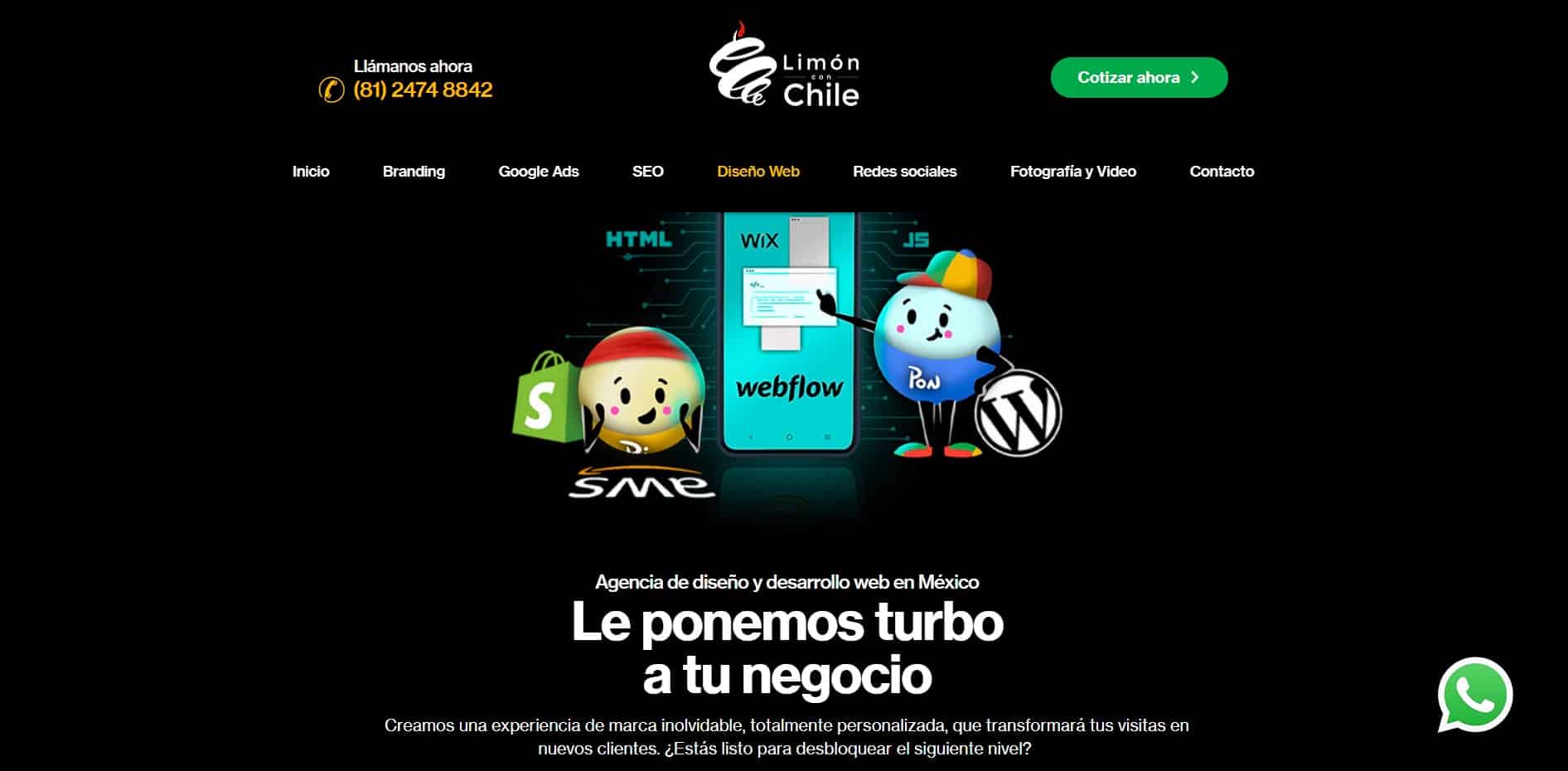 mejores agencias de desarrollo web en México