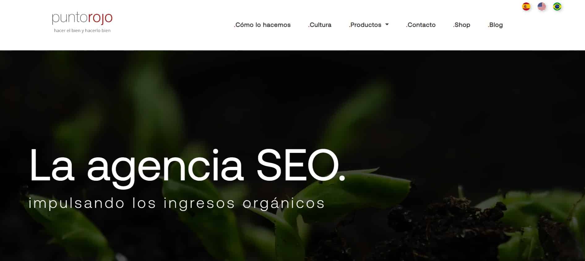 Punto Rojo agencia SEO en Chile