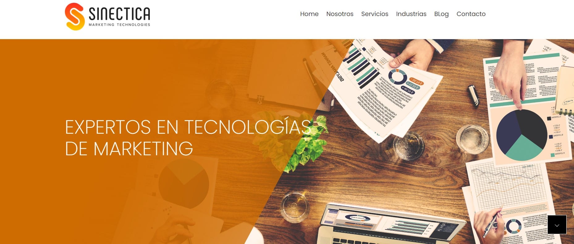 sinectica agencia seo panama