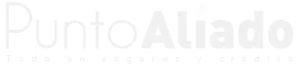 Punto Aliado